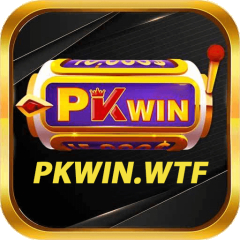 pkwinwtf