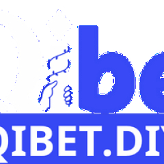 qibetdiydu