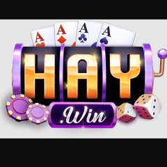 1haywintech