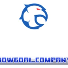 nowgoalcompany