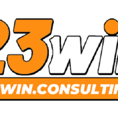 23Winconsulting