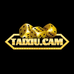 taixiucam