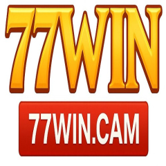 77wincam