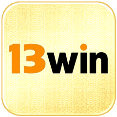 13winjpncom