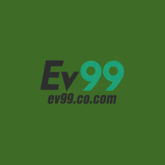ev9991com