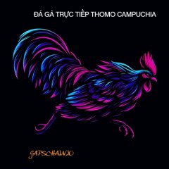 dagatructiepgaps