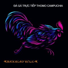 dagatructiepmirador