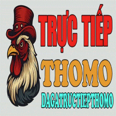dagatructiepthomobiz