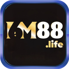 6m88life