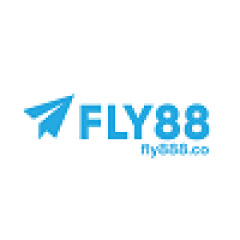 fly888co