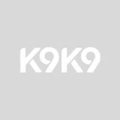 k9k9inet