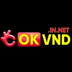 okvndinnet1