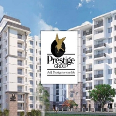 prestigegoldengrov