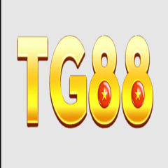 tg88dcom