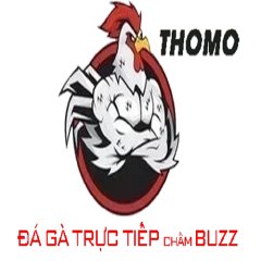 dagatructiepbuzz