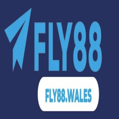 fly88wales1