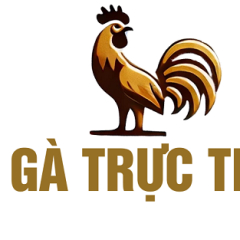 dagatructiephomnaycom