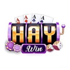 3haywinpro