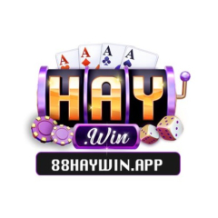 88haywinapp