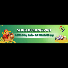 Soicau3cangpro