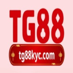 tg88kyccom
