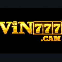 Vin777cam1