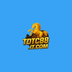 tdtc88itcom