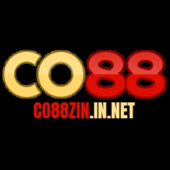 co88zininnet