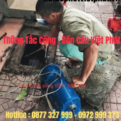thongvietphataa