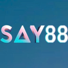 say88cam