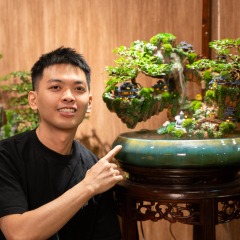 hoanganhtuan
