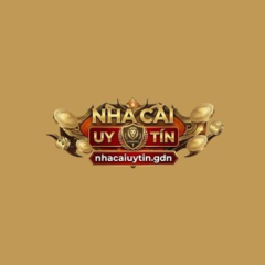 nhacaiuytingdnn