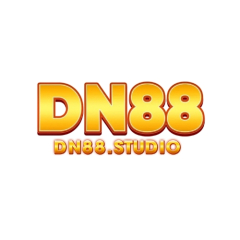Dn88studio