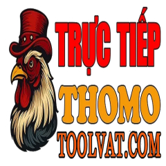 dagatructieptoolvat