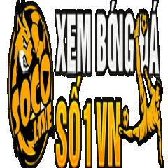 socolive55zxz