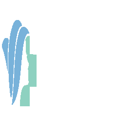 benhvienvietmy