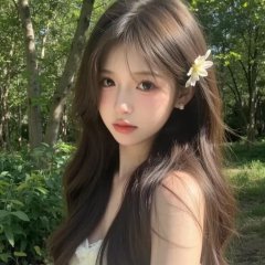 paypaylivenetlive