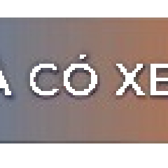 xelientinh247