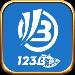 123bllc1