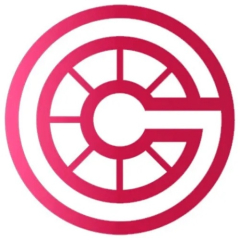 chongtoico1