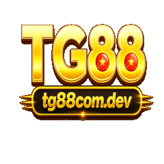 Tg88com dev