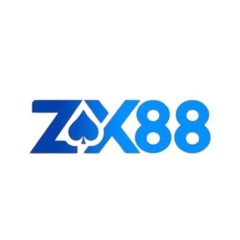 zx88vnnet1