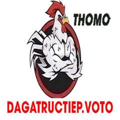 dagatructiepvoto