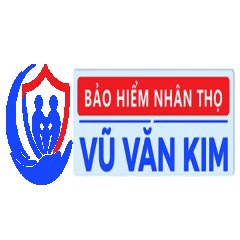 Đại Lý Bảo Hiểm Vũ Văn Kim