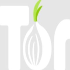 torprojectycom