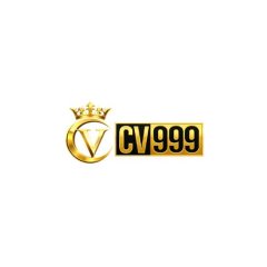 kingcv999com1
