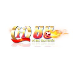 qh88usvn07