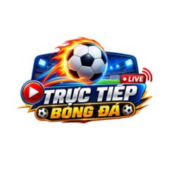 tructiepbdinnet