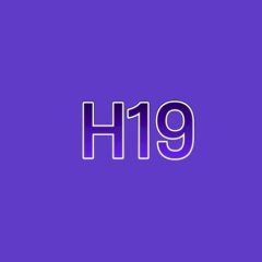 h19site