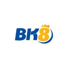 BK8 HUD